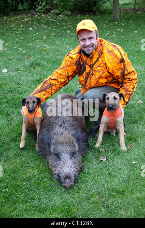 Hunter, avec deux Westpahlen terriers et les sangliers, Basse-Saxe, Allemagne Banque D'Images