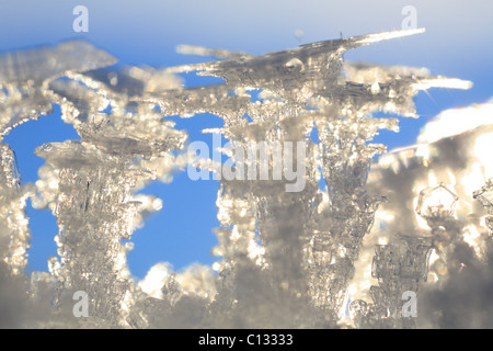 La croissance des cristaux de glace sur une surface de neige. Powys, Pays de Galles. Décembre. Banque D'Images