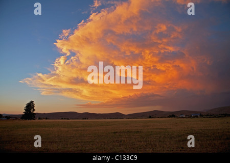 Coucher de soleil sur le désert semi-aride des Plaines dans le sud-ouest du Nevada, États-Unis d'Amérique Banque D'Images