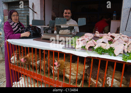 Blocage de poulet à un marché de rue dans les vieux quartiers de la Médina Marrakech Maroc central en Afrique du Nord Banque D'Images