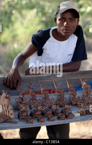 Vous man selling modèles sculptés de la faune indigène. Sujets, avant, les tortues rayonnées (Astrochelys radiata), en deux tailles, caméléons, lémuriens à queue anneau. Banque D'Images