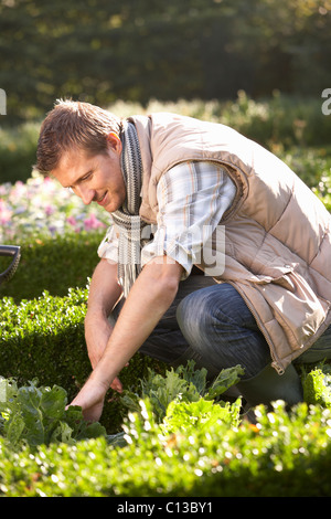 Jeune homme travaillant dans jardin Banque D'Images