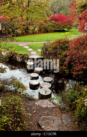 Jardins en automne chemin asticou, northeast harbor, Mount Desert Island, Maine, USA Banque D'Images