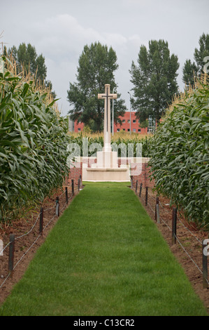 Voie menant à la CSGC La Belle Alliance cimetière près de Boezinge, (près de Ieper (Ypres)), Belgique. Banque D'Images