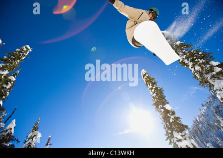 USA, Montana, Whitefish, jeune homme snowboard en forêt Banque D'Images