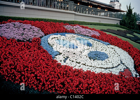 Le célèbre visage de personnage de Mickey Mouse est créé avec des fleurs plantées à Walt Disney World à Orlando, Floride, USA. Banque D'Images