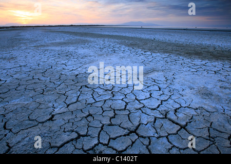 Coucher du soleil le long de la mer de Salton. Banque D'Images