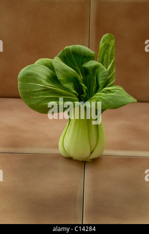 Le Bok choy vert légumes texture goût saveur profonde fibre alimentaire veggie sain matières frais jardin asiatique d'arbres tiges de la récolte Banque D'Images