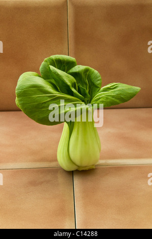 Le Bok choy vert légumes texture goût saveur profonde fibre alimentaire veggie sain matières frais jardin asiatique d'arbres tiges de la récolte Banque D'Images