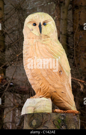 La sculpture à Dunnett Forêt, Près de Castletown, Caithness, Ecosse, Royaume-Uni. Hibou en bois sculpté. Banque D'Images