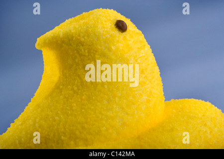 Peeps guimauve bonbons Pâques jaune close-up. Banque D'Images