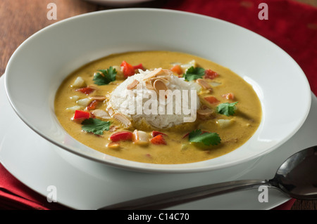 Soupe Mulligatawny. Plat Indien Anglo Banque D'Images