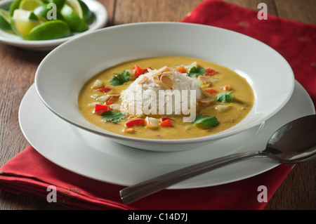 Soupe Mulligatawny. Plat Indien Anglo Banque D'Images