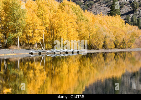 Une ligne de bateaux de pêche et de l'automne tremble arbres se reflétant dans le lac d'argent dans la Sierra montagnes de Californie Banque D'Images