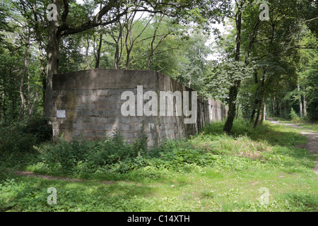 La fin de l'une des trois 'ski' bâtiments de stockage en forme de V1 sur le site de lancement, le bois des Huit-Rues près d'Hazebrouck, France. Banque D'Images