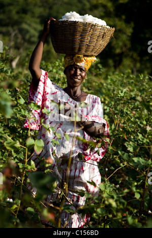 Agriculteur de coton équitable au Mali Banque D'Images