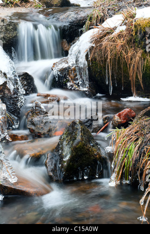 Un ruisseau glacé à travers les rochers et l'herbe Banque D'Images
