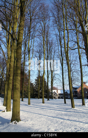 Gawsworth Old Hall, en Angleterre. Vue d'hiver de Gawsworth jardins avec l'élévation ouest Gawsworth Old Hall en arrière-plan. Banque D'Images