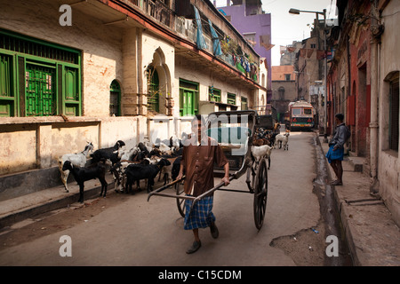 L'Inde, le Bengale occidental, Calcutta, Calcutta, vieux quartier chinois, l'homme tirant human-powered rickshaw Banque D'Images