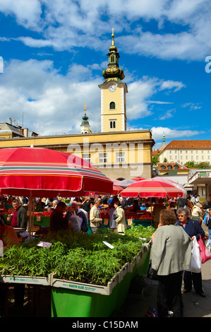 Dolac Marché aux fleurs [ ] Dolac Tržnica , Zagreb, Croatie Banque D'Images