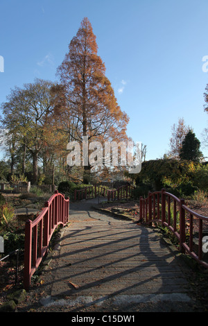 Chester Zoological Gardens. Vue d'automne de le Zoo de Chester's Rock Garden. Banque D'Images