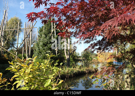 Chester Zoological Gardens. Vue d'automne de le Zoo de Chester avec la tête de singe Capucin Buffy stylo dans l'arrière-plan. Banque D'Images