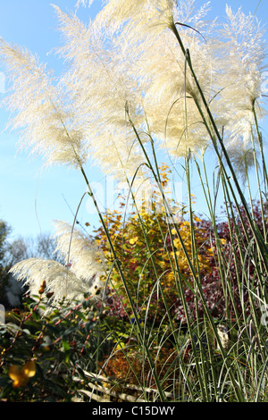 Chester Zoological Gardens. Vue d'automne de le Zoo de Chester. Banque D'Images