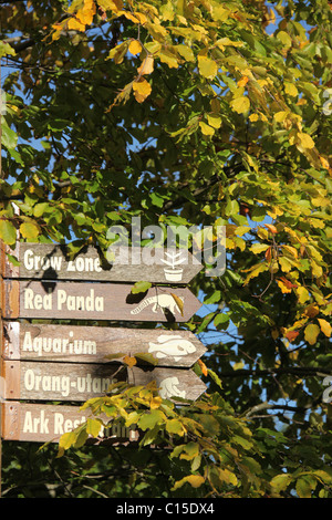 Chester Zoological Gardens. Vue d'automne de le Zoo de Chester's syndicat direction. Banque D'Images