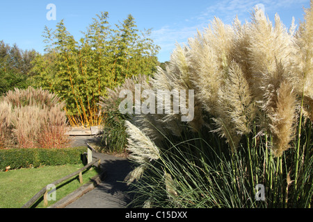 Chester Zoological Gardens. Vue d'automne le Zoo de Chester de graminées glorieux du jardin. Banque D'Images