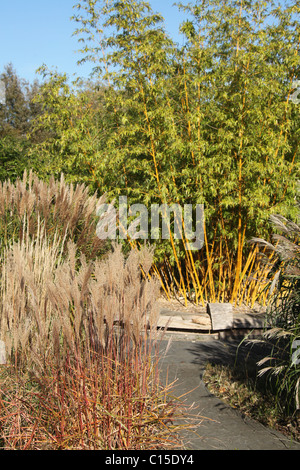 Chester Zoological Gardens. Vue d'automne le Zoo de Chester de graminées glorieux du jardin. Banque D'Images