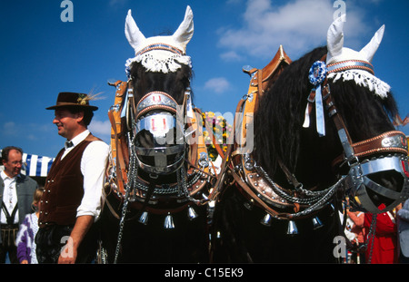 L'arrivée de l'Wiesenwirte ou Oktoberfest publicains à la fête la Fête de la bière de Munich, Bavaria, Munich, Germany, Europe Banque D'Images