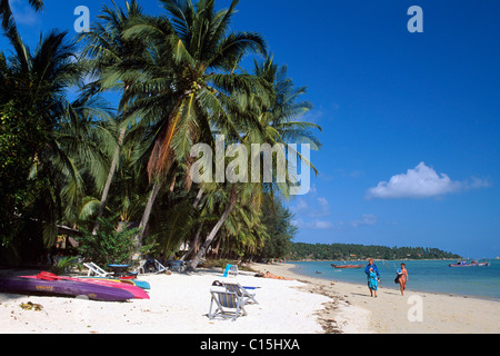 Lamai Beach, Ko Samui, Thaïlande, Asie du Sud-Est Banque D'Images