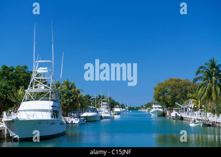 Port, Windley Key Islamorada, Florida Keys, Floride, USA Banque D'Images