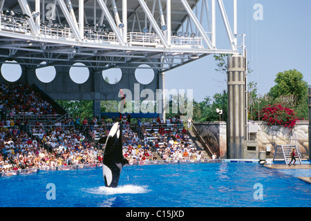 Sea World, Orlando, Floride, USA Banque D'Images