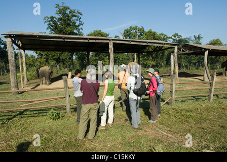 Les visiteurs du Centre d'élevage d'éléphants, Khorsor, Chitwan. Banque D'Images