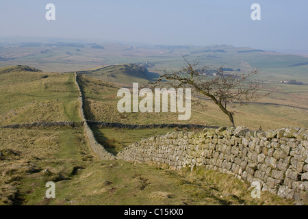 Au mur d'Hadrien, Northumberland essuie Banque D'Images