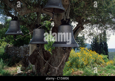 Les cloches de l'église suspendue à un olivier sur l'île de Zakynthos, îles Ioniennes, Grèce, Europe Banque D'Images