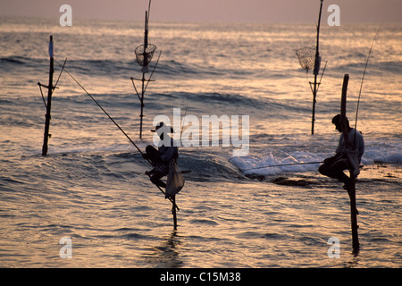 Pêcheurs sur pilotis au crépuscule près de Koggala, Sri Lanka, Asie Banque D'Images