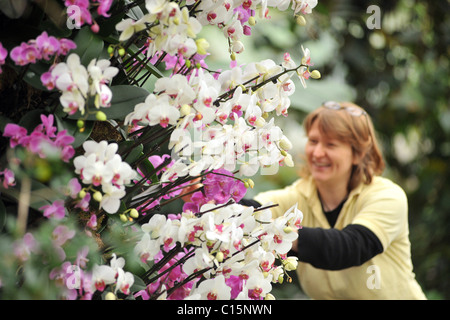 Kew Garden's Tropical Extravaganza - Photocall Le premier festival à Kew's 250e anniversaire année en vedette des milliers d'exotisme Banque D'Images