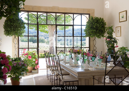 Mis à table à manger à l'orangerie de plantes en pots et des fenêtres à la française Banque D'Images