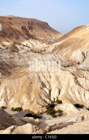 Désert du Néguev, près de la Mer Morte. Israël Banque D'Images