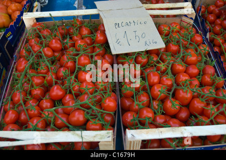 Tomates cerises au marché de produits frais Catane Sicile Italie Europe Banque D'Images