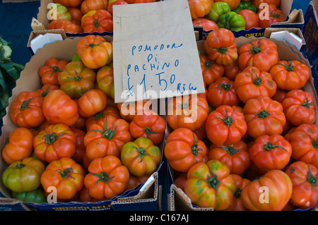 Pomodoro di Pachino Costoluto tomates Salade rouge au marché de produits frais Catane Sicile Italie Europe Banque D'Images