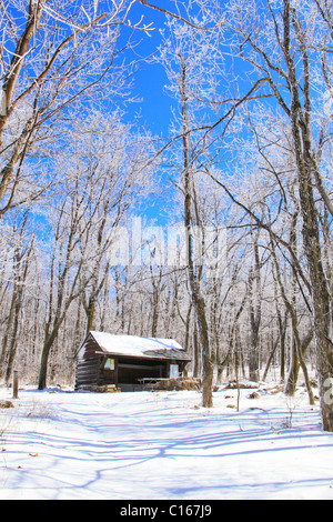 Hightop Abris, sentier des Appalaches, le Parc National Shenandoah, en Virginie, USA Banque D'Images