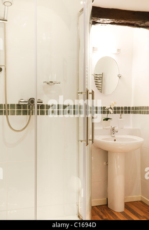 Salle de bains contemporaine avec douche et lavabo Banque D'Images