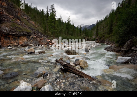 Rivière de montagne en Yamangol East Sayans. Tunkunskie Goltsy. République bouriate. La Russie. Banque D'Images