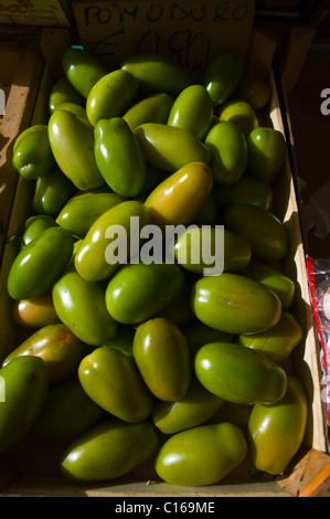 Les tomates vertes Via Trieste street market Siracuse Ortigia island Sicile Italie Europe Banque D'Images