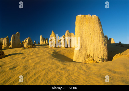 Pinnacle désert, le Parc National de Nambung, Western Australia, Australia Banque D'Images