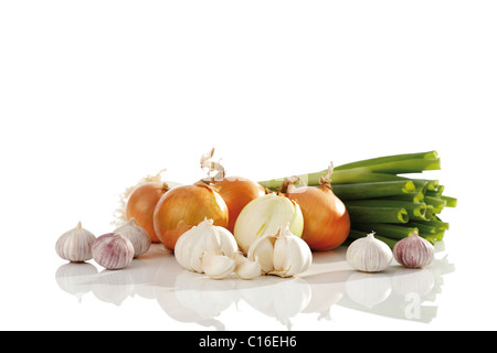 Scallion (Allium fistulosum), les oignons (Allium cepa) et l'ail (Allium sativum) Banque D'Images