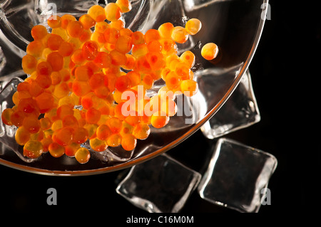 Macro de caviar rouge, servi sur glace dans une plaque de verre Banque D'Images